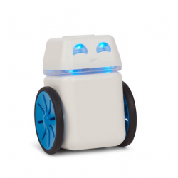 Robot BlueBot